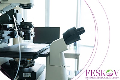 disadvantages of egg donation