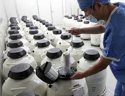 Cryopreserved embryos and their transportation to Ukraine from any country in the world