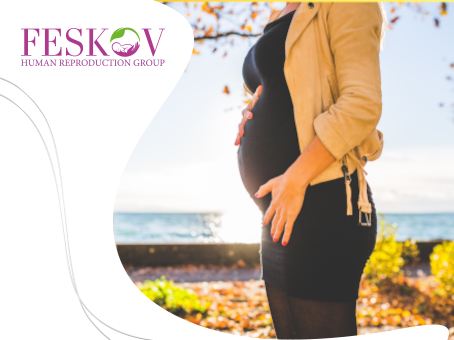 Surrogacy in Germany: Legislation and Cost foto Surrogacy in Germany: Legislation and Cost picture