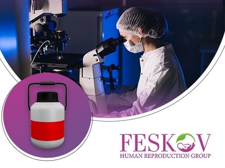 Why is the transportation of Сryopreserved Eggs procedure at Feskov`s surrogacy agency effective in your case too? picture