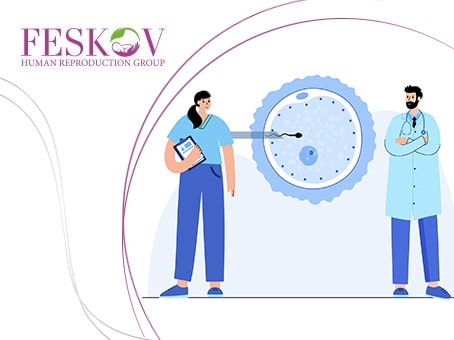 Ways to receive services and conduct reproductive programs. Choose a method and request information from the manager! foto Ways to receive services and conduct reproductive programs. Choose a method and request information from the manager! picture