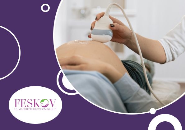 surrogate mother Netherlands price