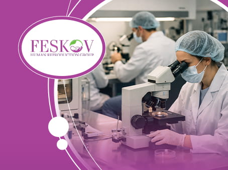 Embryo evaluation: understanding embryo quality assessment picture