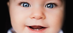 Guarantee Surrogacy Guarantee Surrogacy