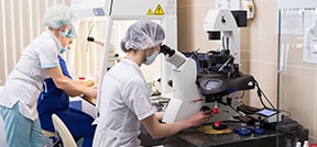 Mitоchondrial treatment / pronuclear transfer for Guarantee IVF Mitоchondrial treatment & pronuclear transfer for Guarantee IVF