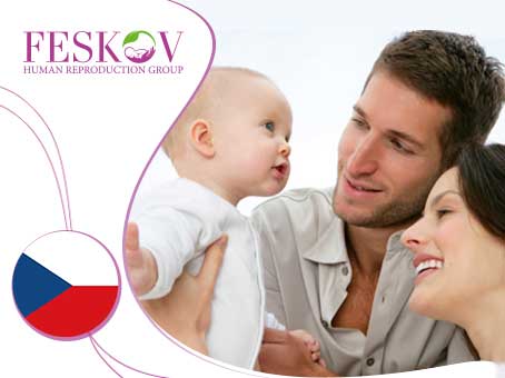 news: Czech republic egg donor: advantages, conditions, prices picture