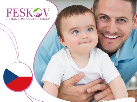 news: Egg donation in the Czech Republic picture