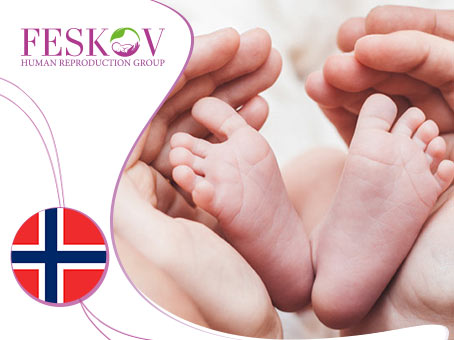 news: Egg donation in Norway  picture