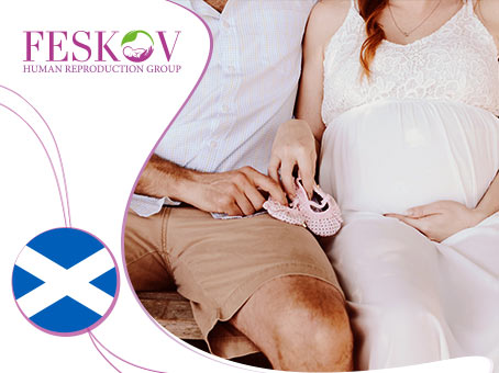 news: Egg donation in Scotland  picture