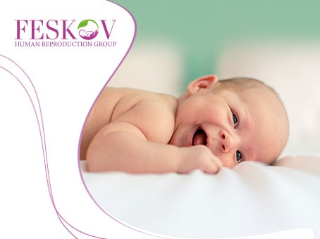 news: Private egg donation foto news: Private egg donation picture