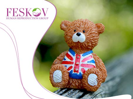 news: Egg donation cost in the UK picture news: Egg donation cost in the UK picture