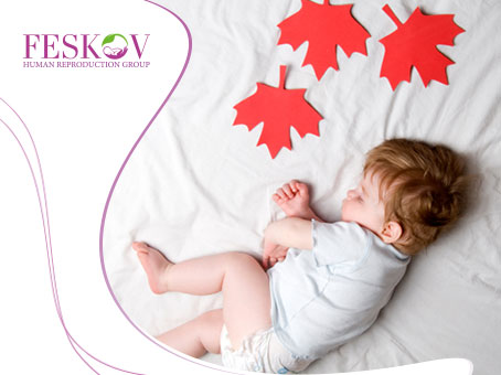 International Surrogacy Program Ukraine-Canada foto International Surrogacy Program Ukraine-Canada picture