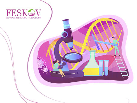 Genetics of Ukrainian Donors picture