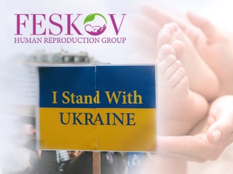 The life of Ukraine and the work of Feskov Human Reproduction Group during the war picture