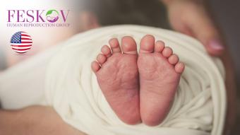 rewiews H****** & P********