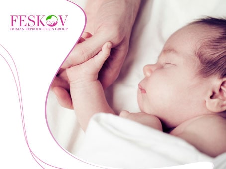 news: Egg donor in Europe foto news: Egg donor in Europe picture