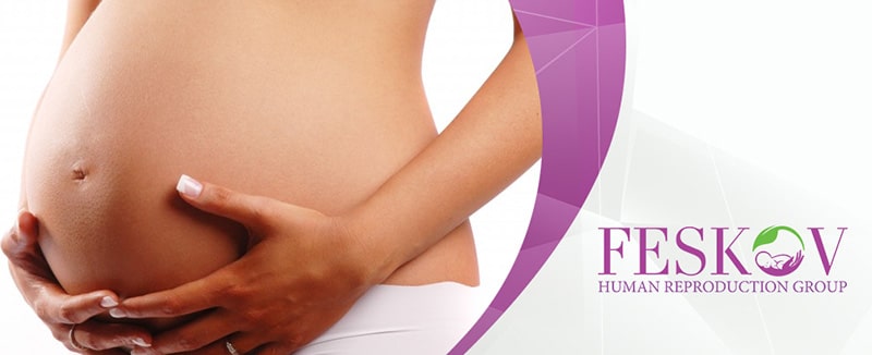 uterus transplantation