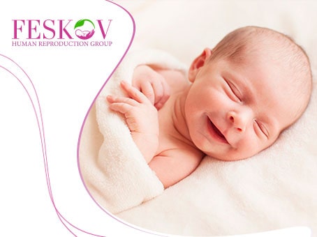 news: The First Meeting: 5 Helpful Tips for Surrogates & Intended Parents foto news: The First Meeting: 5 Helpful Tips for Surrogates & Intended Parents picture