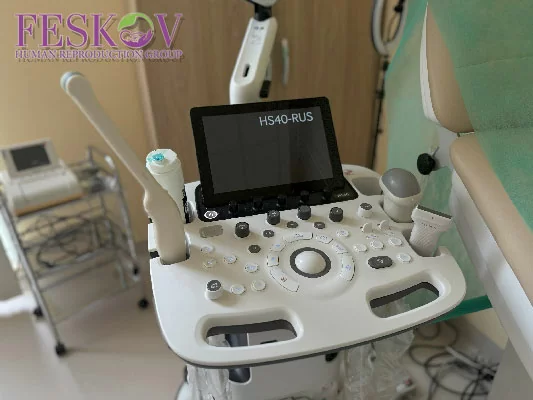 Medical and legal differences between gestational and traditional surrogacy