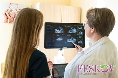 are egg donors biological mothers