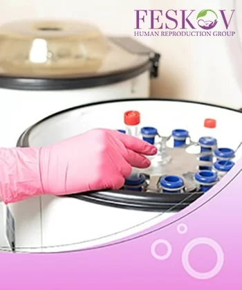 
surrogacy for couples with genetic disorders