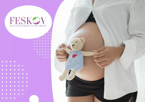 What Are Follicles And Why Are They Important For My Fertility? - 1