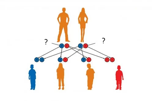 have ability mother, children inherit intelligence from mother foto have ability mother, children inherit intelligence from mother picture