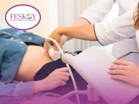 The ultrasound doctor performs a follow-up ultrasound after implantation of the embryo that has undergone PGT-A genetic testing.