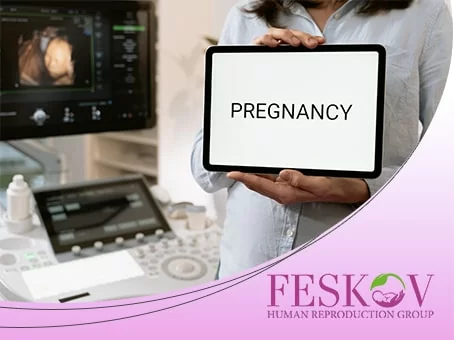 How Many Ovarian and Antral Follicles You Should Have for Fertility? foto How Many Ovarian and Antral Follicles You Should Have for Fertility? picture