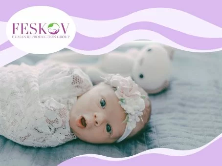 surrogate mother Netherlands