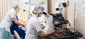Mitоchondrial treatment / pronuclear transfer for Guarantee IVF Mitоchondrial treatment & pronuclear transfer for Guarantee IVF