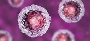Stem cell treatment in IVF Stem cell treatment in IVF