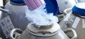 Transportation of frozen embryos Transportation of frozen embryos