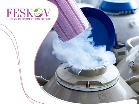 news: Frozen egg donor  picture