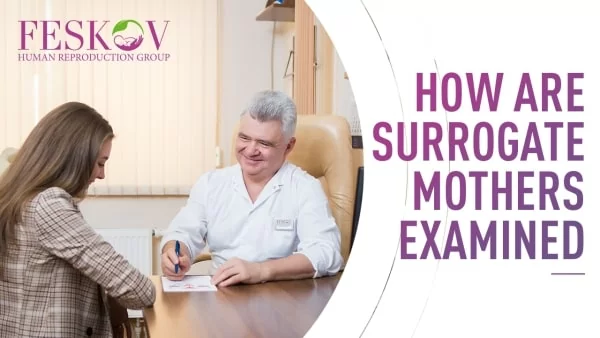 How are surrogate mothers examined by Feskov HRG? - feskov surrogacy