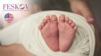 rewiews H****** & P********