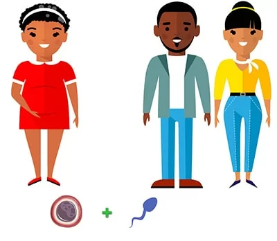 traditional surrogacy traditional surrogacy