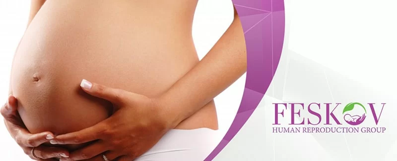 Uterus transplantation uterus transplantation
